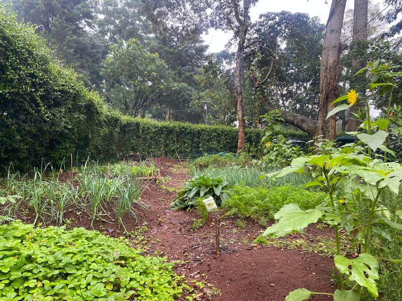 Naivasha Park - Gallery 27